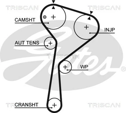  Correia do mecanismo de distribuição de gás, kit Nissan Almera II sedan (N16) (2000 - 2006) II