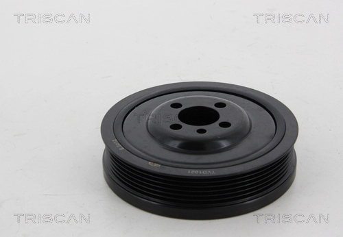Polia de cambota para Seat Toledo III 5P2