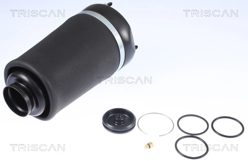 Compre 6013AB Magneti Marelli Coxim pneumático (suspensão de lâminas pneumática) do eixo dianteiro