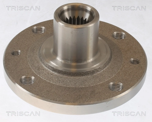 Cubo dianteiro para Renault Laguna I B56, 556