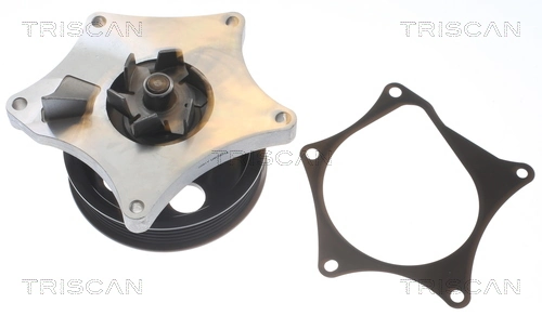 Compre 25204308 Peugeot/Citroen Bomba de água (bomba) de esfriamento