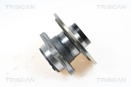 Cubo traseiro 713618870 INA