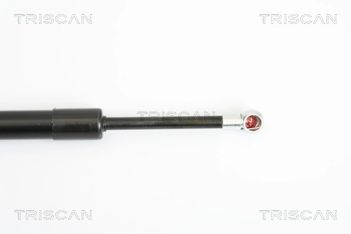  Amortecedor de tampa de porta-malas (de 3ª/5ª porta traseira) Volkswagen Jetta V sedan (1K2) (2004 - 2010) V