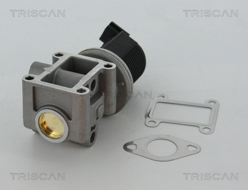 Válvula EGR de recirculação dos gases Peugeot/Citroen 1675871380