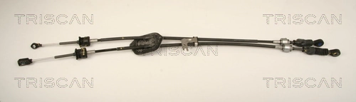 814010702 Triscan