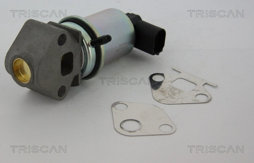 Compre 881329011 Triscan Válvula EGR de recirculação dos gases