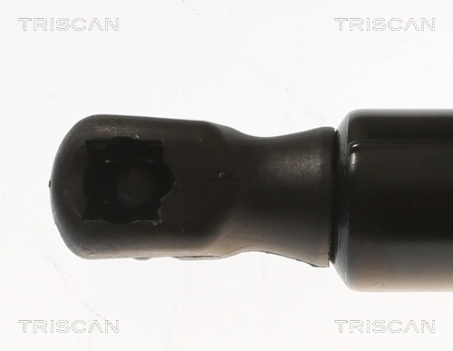 Amortecedor de tampa de porta-malas (de 3ª/5ª porta traseira) Tesla Model 3  5YJ3