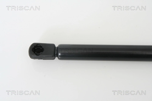 Amortecedor de tampa de porta-malas (de 3ª/5ª porta traseira) 0132743 General Motors