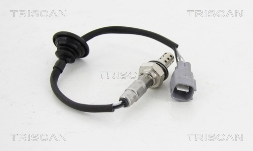 884513064 Triscan