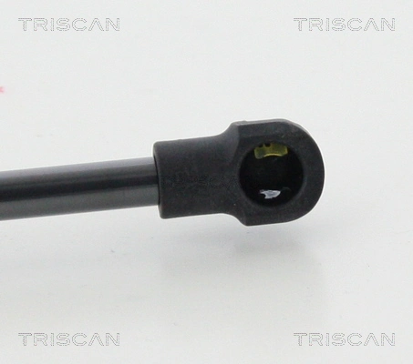 Amortecedor de tampa de porta-malas (de 3ª/5ª porta traseira) BMW 2  F23
