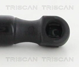 430719118100 Magneti Marelli Amortecedor de tampa de porta-malas (de 3ª/5ª porta traseira)