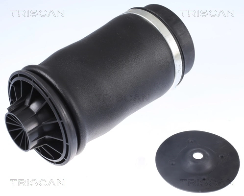 Coxim pneumático (suspensão de lâminas pneumática) do eixo traseiro Amity AP REC34AS0026 preço, a partir de 183,70 USD