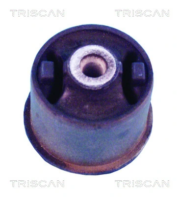 Bloco silencioso de viga traseira (de plataforma veicular) Seat Ibiza I 021A