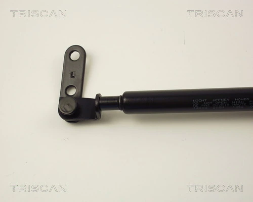 Amortecedor de tampa de porta-malas (de 3ª/5ª porta traseira) para Nissan Micra  K10