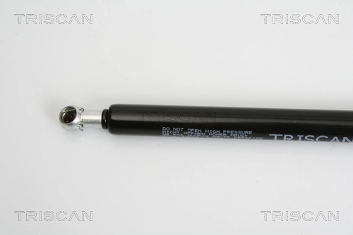 Compre Amortecedor de tampa de porta-malas (de 3ª/5ª porta traseira) Ford Fiesta 
