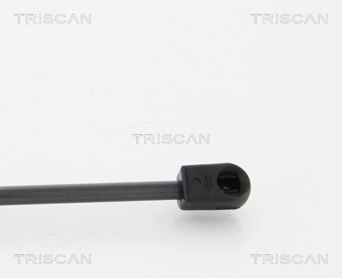 Amortecedor da capota BMW 1  F20