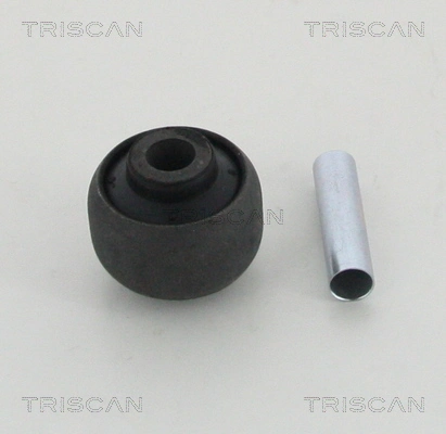 850029813 Triscan