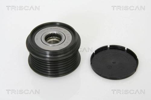 Compre Polia do gerador Renault Megane 