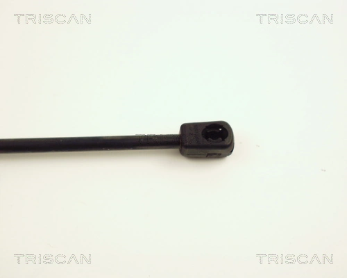 Amortecedor de tampa de porta-malas (de 3ª/5ª porta traseira) 9114311 General Motors