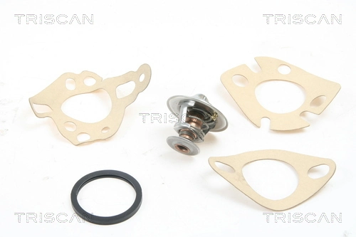 Termostato Nissan Sunny III Y10