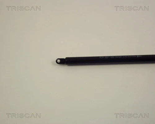 Amortecedor da capota para Audi 100 C2 43