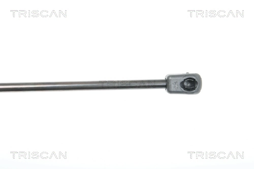 Amortecedor da capota Mercedes E  W212