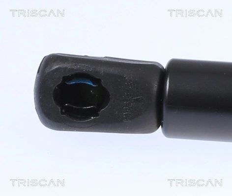 Amortecedor da capota Tesla Model S  5YJS