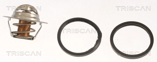 86207691 Triscan