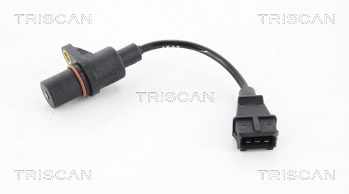 885543103 Triscan