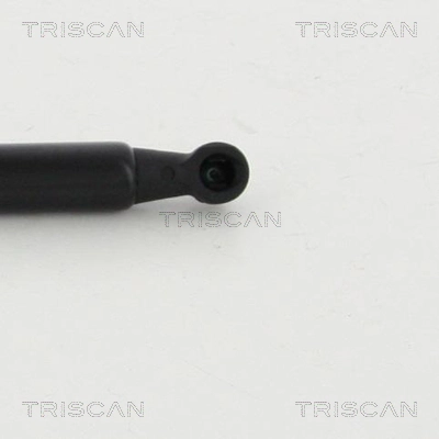 8710292019 Triscan