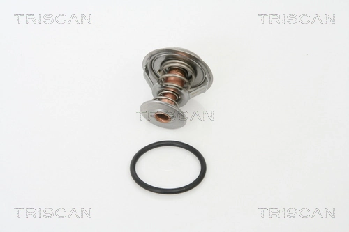XR85174 Jaguar Termostato
