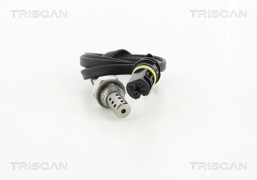 884523019 Triscan