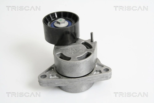 Compre 93198651 General Motors Reguladora de tensão da correia de transmissão