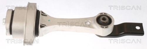 Coxim (suporte) traseiro de motor Seat Leon I 1M1