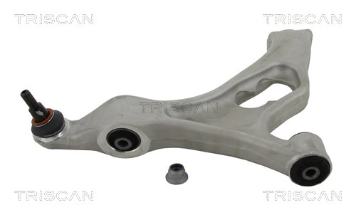 8500295094 Triscan