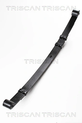 876580006 Triscan