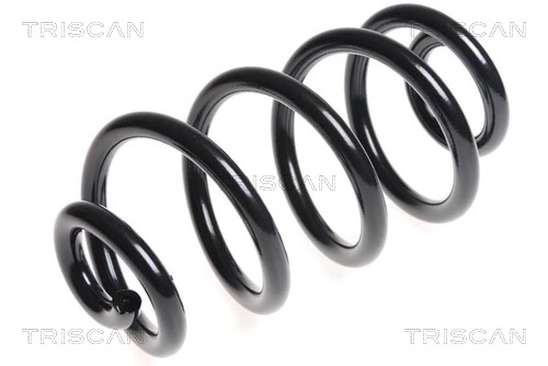 Mola traseira para Nissan Qashqai +2 I J10