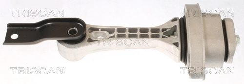  Coxim (suporte) traseiro de motor Seat Leon I hatchback (1M1) (1999 - 2006) I