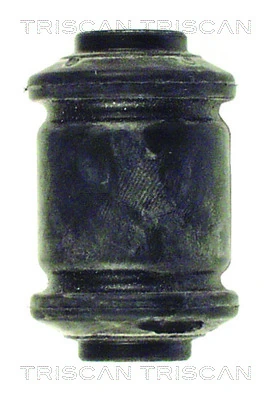 850029823 Triscan