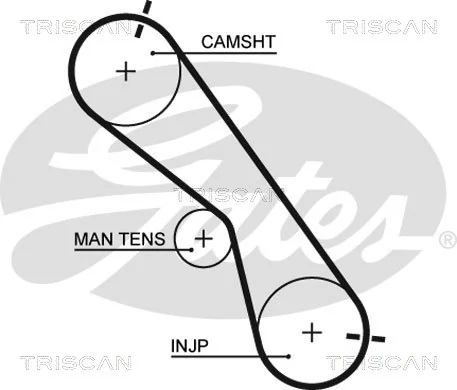 Correia do mecanismo de distribuição de gás, kit Peugeot/Citroen 1635051380