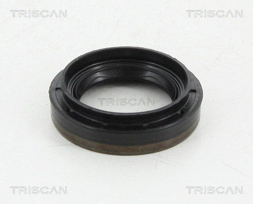 855010035 Triscan