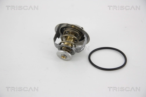 TE0359 Magneti Marelli Termostato