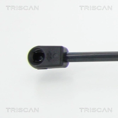 Amortecedor de tampa de porta-malas (de 3ª/5ª porta traseira) Magneti Marelli 430719118100