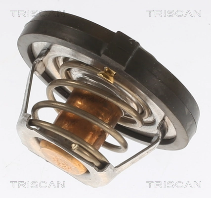 862012191 Triscan