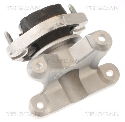  Coxim (suporte) traseiro de motor Audi A4 B7 sedan (8EC) (2004 - 2008) B7