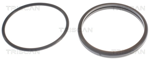Termostato para SsangYong Rexton I RJN