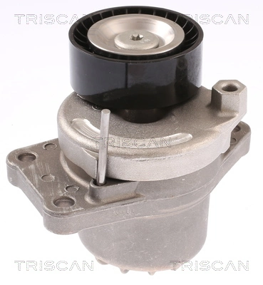 1611426480 Peugeot/Citroen Rolo de reguladora de tensão da correia de transmissão
