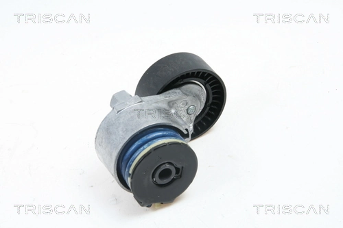 Reguladora de tensão da correia de transmissão para Nissan Micra  K12