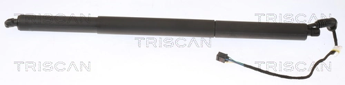 871029306 Triscan