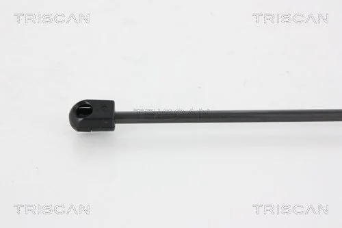 GS1103 Magneti Marelli Amortecedor de tampa de porta-malas (de 3ª/5ª porta traseira)